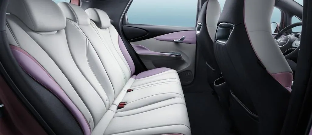 BYD DOLPHIN – Espaço confortável para os passageiros do banco traseiro