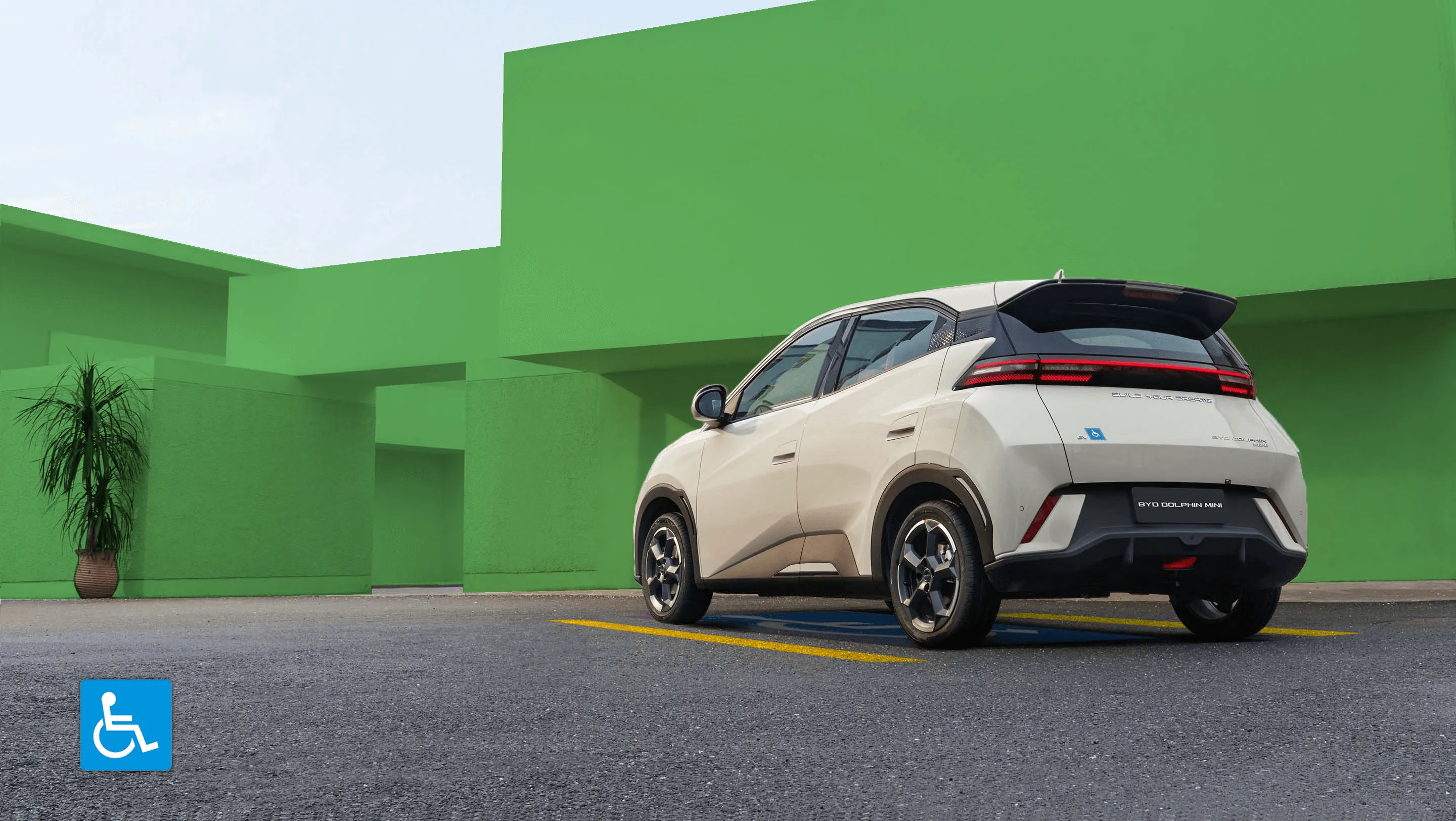 BYD PROGRAMA PCD